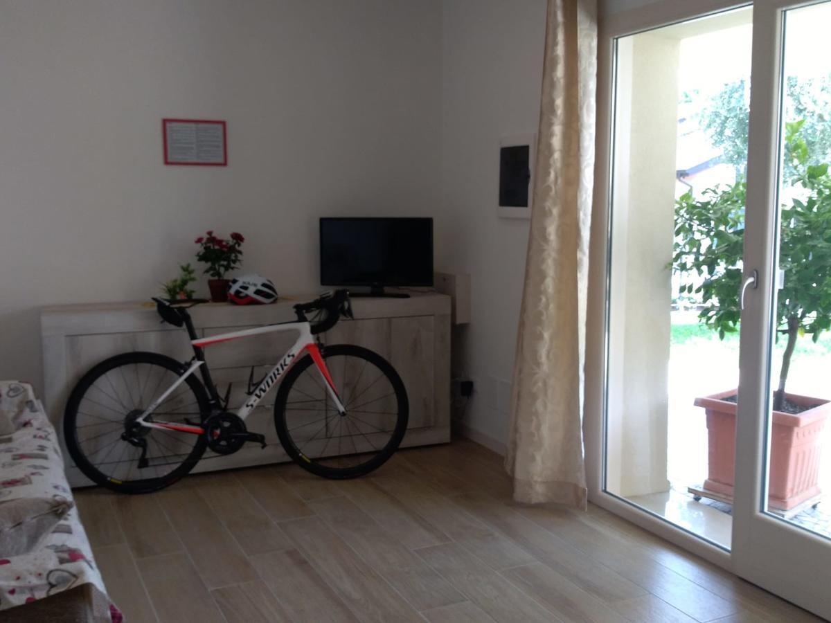 Apartment Conte Borso del Grappa Buitenkant foto